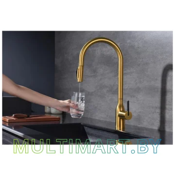 Смеситель Paulmark Universal Un213880-BG (брашированное золото) картинка 6